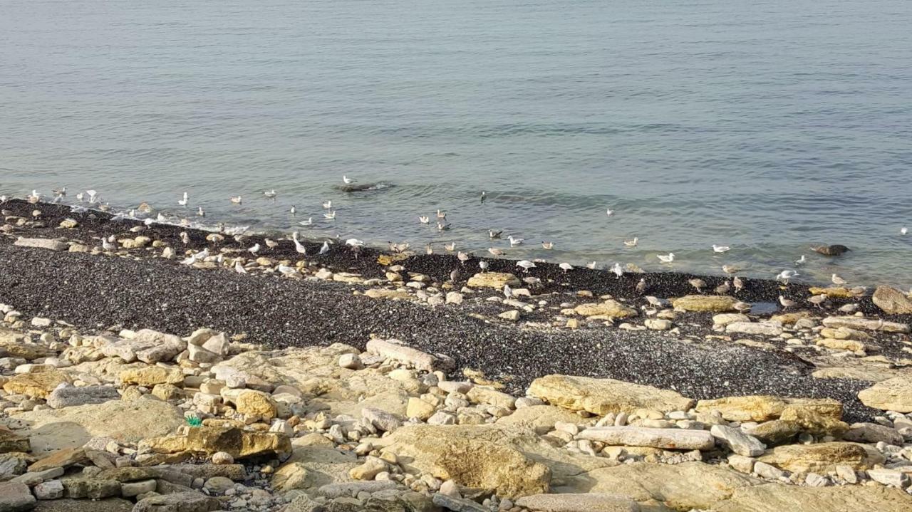 La Naturelle 119 Wimereux Luaran gambar